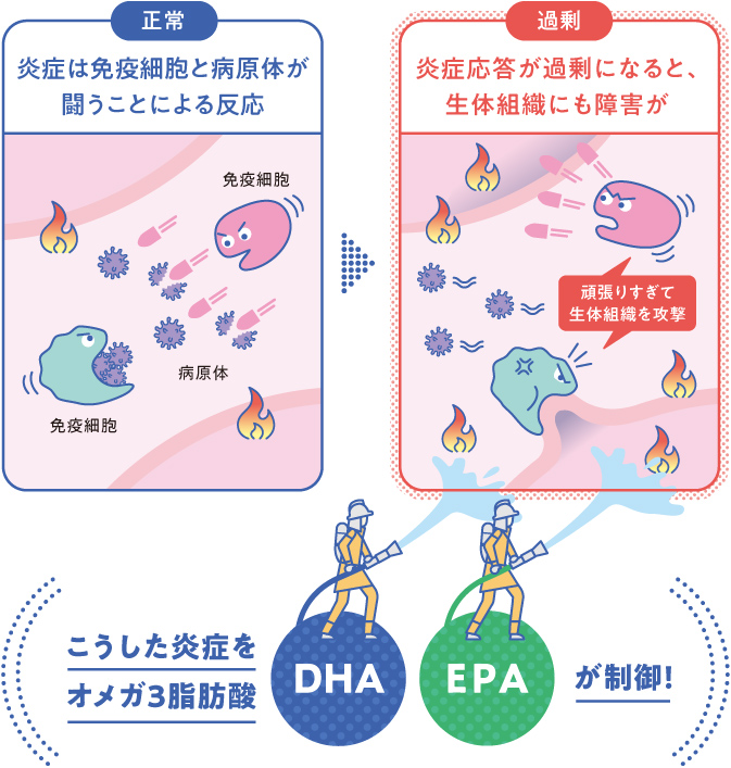 正常 炎症は免疫細胞と病原体が闘うことによる反応 過剰 炎症応答が過剰になると、生体組織にも障害が こうした炎症をオメガ3脂肪酸 DHA EPA が制御！