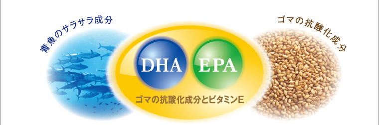 青魚のサラサラ成分　ゴマの抗酸化成分　DHA　EPA　ゴマの抗酸化成分とビタミンE