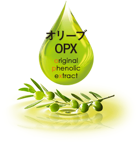 オリーブOPX（original phenolic extract）